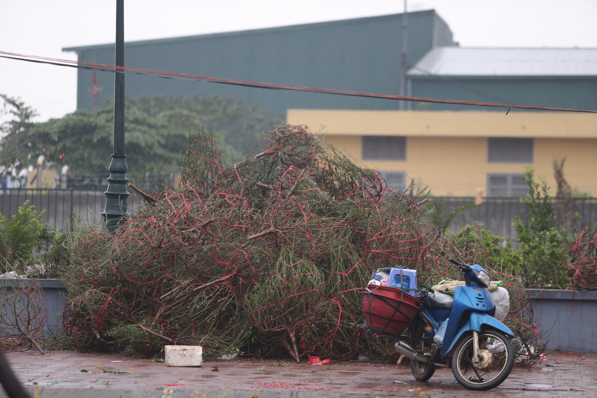 Những cành đào bị loại bỏ chất đống trên vỉa hè khu vực hồ Đền Lừ chiều 30 Tết.