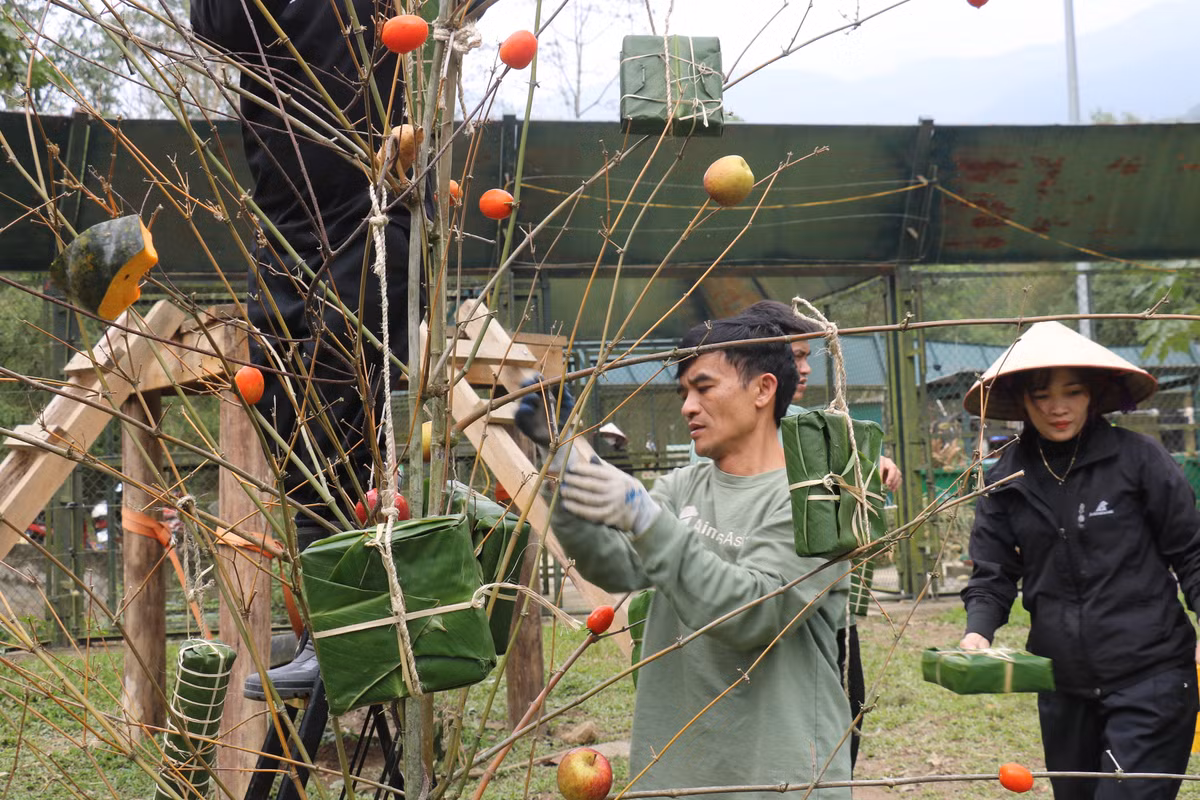 Những hoạt động này được thực hiện ngày 2 lần tại Trung tâm Cứu hộ Gấu Việt Nam, những người chăm sóc gọi đây là" hoạt động làm giàu môi trường sống cho gấu" , để qua đó, gấu được vận động , được thay đổi môi trường sống đa dạng mỗi ngày, để luôn vui vẻ.