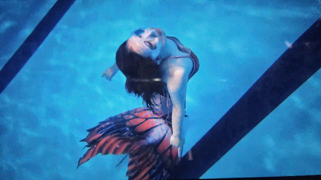 Mặc dù hiện tại, Dạ Điệp chưa thể đi diễn ở các thủy cung như những người làm nghề chuyên nghiệp lâu năm nhưng cô gái trẻ vẫn kiên trì với mong muốn một ngày trở thành "nàng tiên cá".