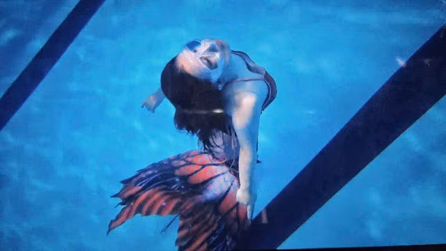 Mặc dù hiện tại, Dạ Điệp chưa thể đi diễn ở các thủy cung như những người làm nghề chuyên nghiệp lâu năm nhưng cô gái trẻ vẫn kiên trì với mong muốn một ngày trở thành "nàng tiên cá".