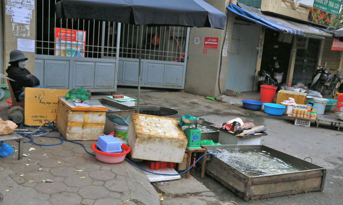 Ghi nhận tại các chợ dân sinh ở Hà Nội, nhiều hàng quán đã mở cửa, chủ yếu là bán rau xanh, bún, bánh phở, trái cây, hàng ăn nhanh…