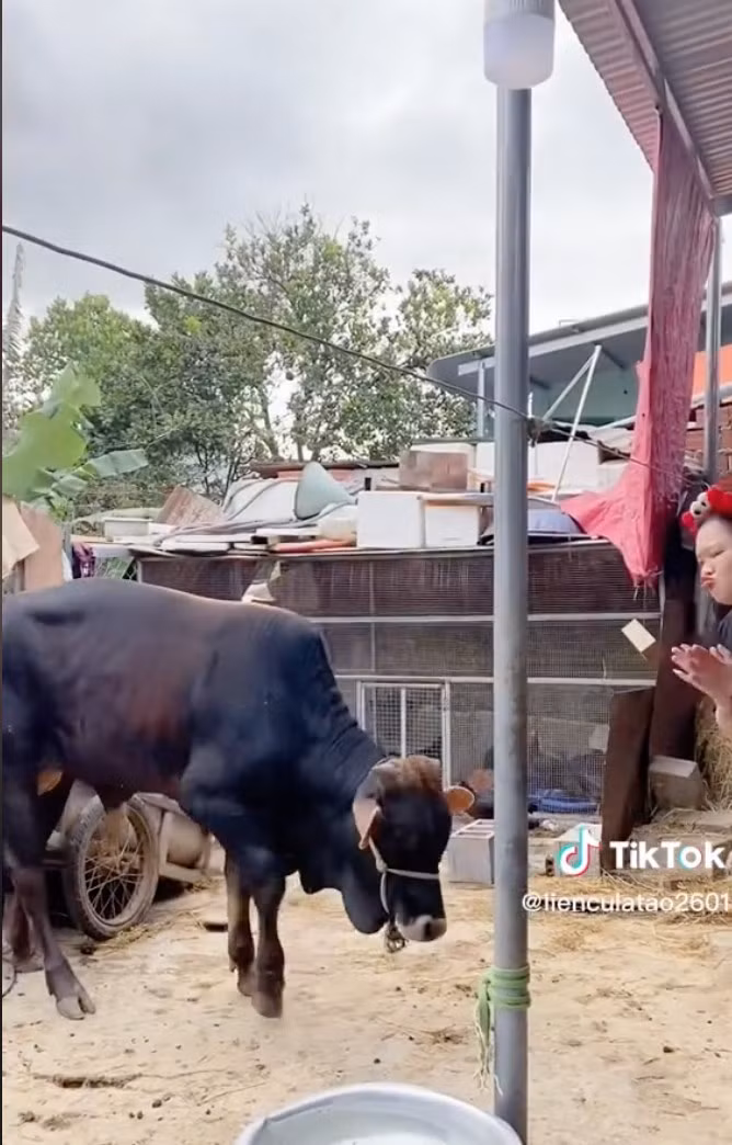 Cũng trong đoạn clip, mẹ của Mai Kim Liên nhắn nhủ cô nàng rằng: "Kệ người ta nói đi con, giàu hay nghèo cũng được, chỉ cần con cảm thấy đủ là được".