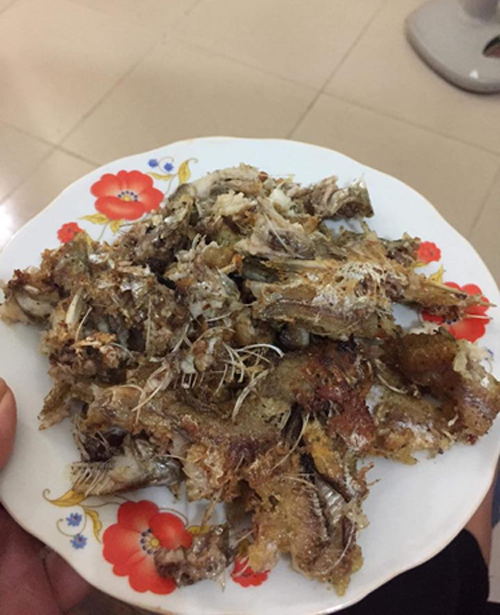 Tuy nhiên cũng theo góc nhìn khách quan, mỗi người vẫn tự nên có các kỹ năng nấu nướng cơ bản, đảm bảo thẩm mỹ để chủ động trong cuộc sống của mình.