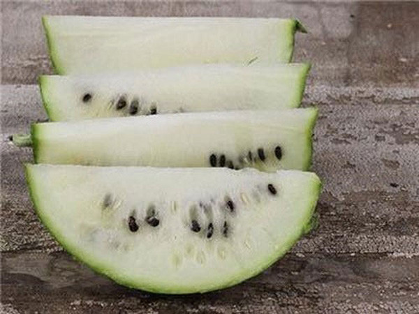 Chứng kiến clip đập dưa hấu trắng của cụ bà, nhiều tài khoản TikTok tò mò và sau đó khi tìm hiểu mới phát hiện được ra rằng đây chính là thứ quả cho ra hạt dưa chúng ta hay nhâm nhi mỗi dịp Tết.