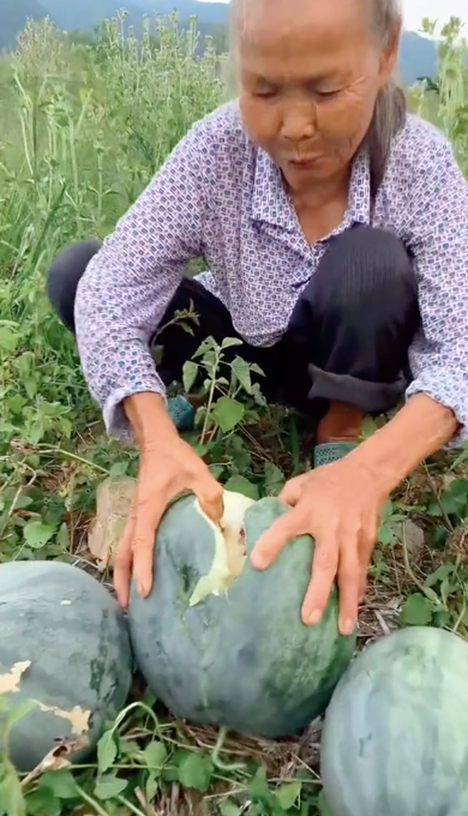 Khi phần ruột dưa hấu bên trong lộ ra, dân mạng ai cũng thảng thốt vì nó không có màu đỏ đặc trưng như loại dưa hấu bình thường.