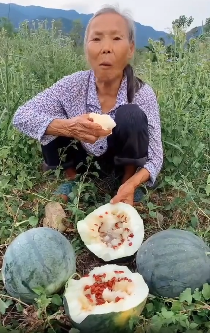 Người ta quan niệm rằng màu hồng đỏ của hạt dưa thường đem lại may mắn cho gia chủ trong năm mới.