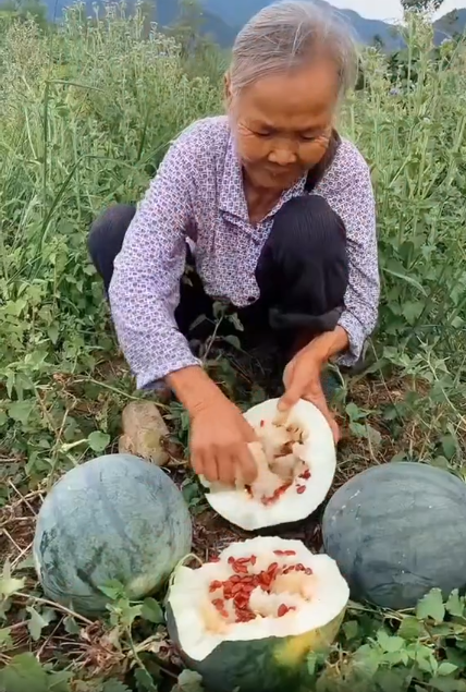 Thay vì có vị ngọt mát như các loại bình thường, ruột của loại dưa này thường rất đắng nên hiếm người ăn.