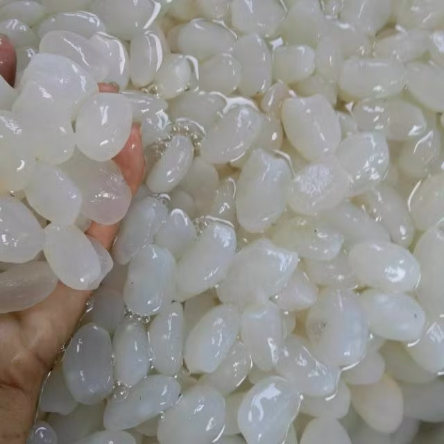 Dành cho những ai chưa biết thì đây là hạt đác, được lấy ra từ quả đác, thường dùng để cho vào chè hoặc ăn với sữa chua...