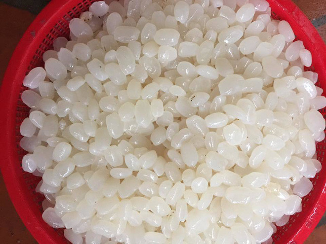 Nhìn sơ qua, nếu ai xem trên điện thoại hẳn là sẽ có người mất đến 1 - 2 giây nhầm lẫn. Bởi những thứ được đựng trong chiếc nồi trên khá giống hình dáng hạt gạo, lại cũng có màu trắng y xì đúc, chỉ khác là kích thước phóng đại lên rất nhiều lần.