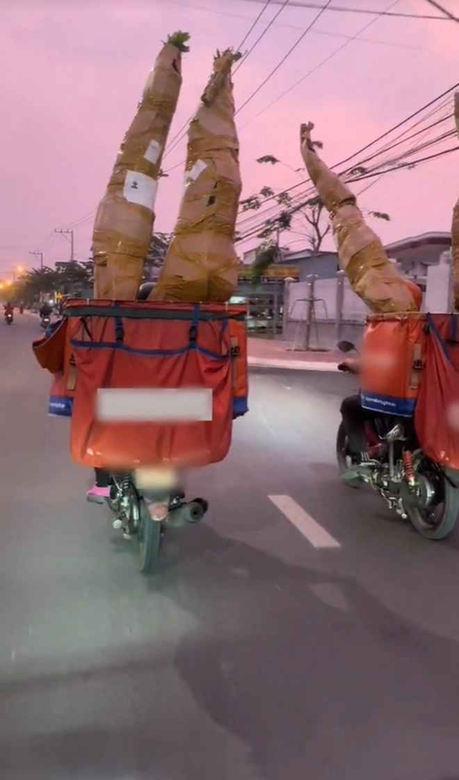 Một netizen còn dí dỏm ví: “Đúng là không thiếu một thứ gì trên đời là không giao tận tay nếu bạn có tiền”.