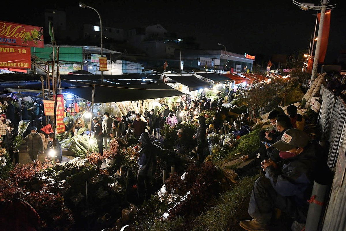 Bắt đầu từ khoảng 21h, chợ hoa Quảng An những ngày giáp Tết Nguyên Đán luôn tấp nập tiểu thương, người dân đến mua hoa.