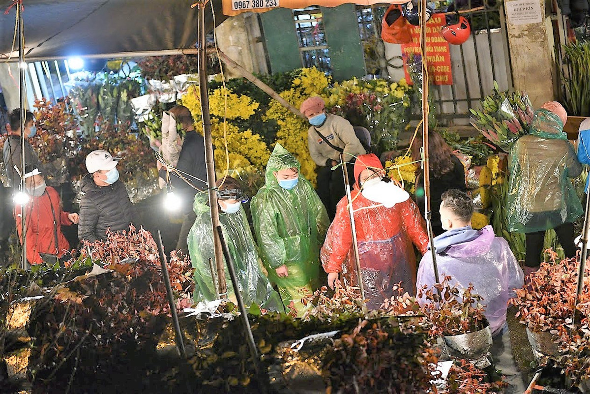 Chợ hoa Quảng An những ngày giáp Tết rất đông người đến chọn mua hoa.