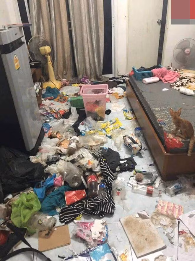 Trước đó, mạng xã hội cũng từng xuất hiện nhiều những hình ảnh, câu chuyện về các thánh ở bẩn.