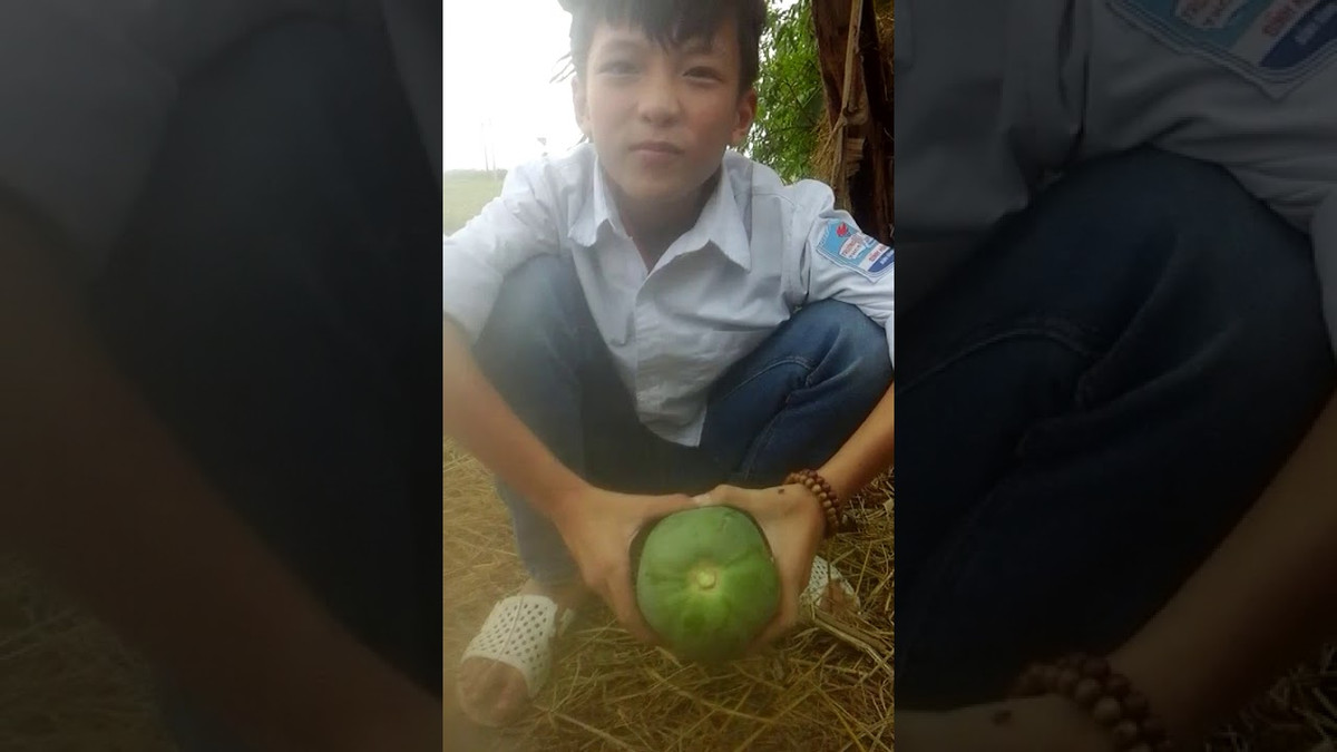 Cô gái cho rằng, mọi người không nên đánh giá cô qua 1 đoạn clip hái 2 quả đu đủ. Ở một trả lời khác trên mạng, cô lại cho rằng mình “hái hộ bác chủ vườn”.