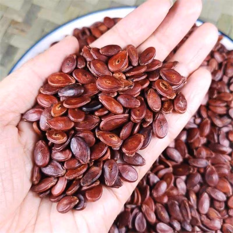 Nhiều người có khi cắn "đau cả hàm" mà cũng chưa tách được để ăn...