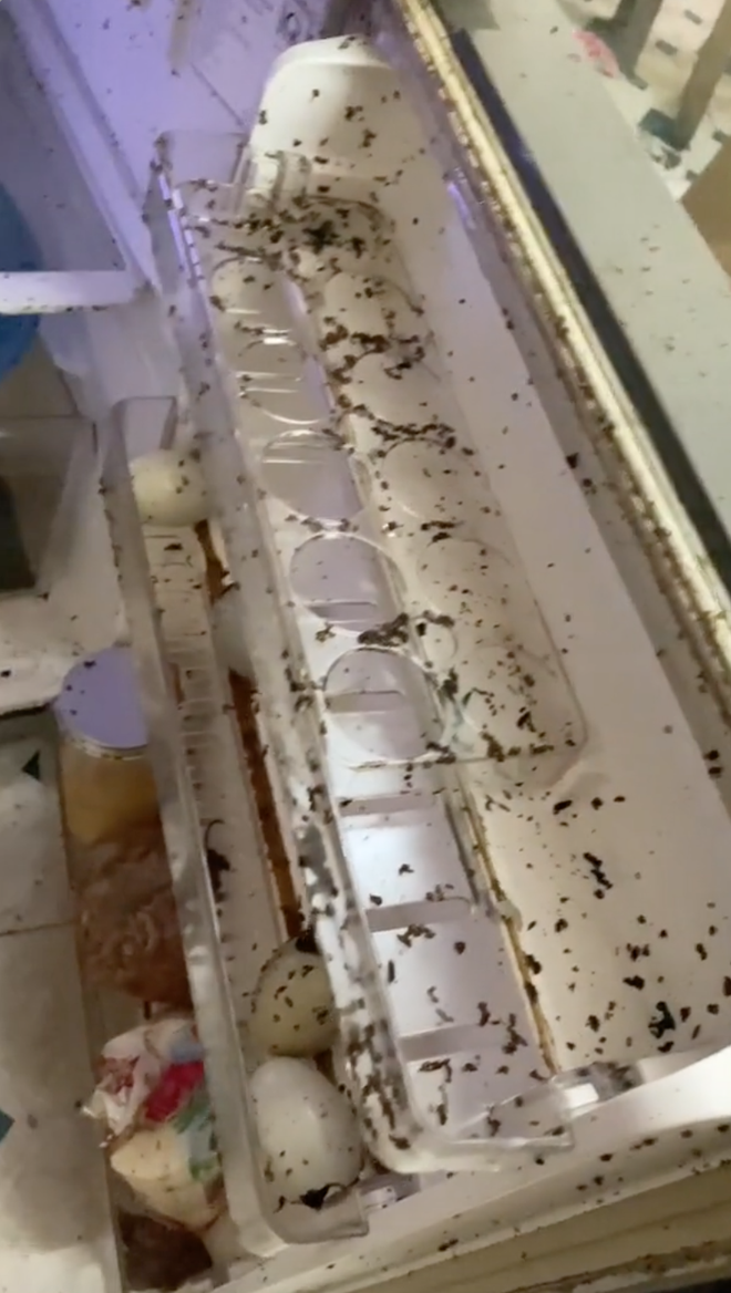 Chốt lại đoạn clip, Phạm Huy không còn biết nói gì hơn ngoài câu cảm thán: "Thật là hết nước chấm!"