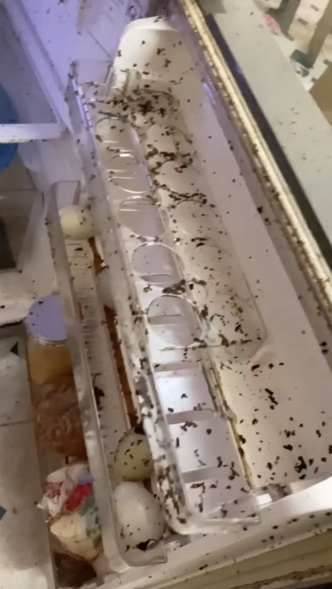 Chốt lại đoạn clip, Phạm Huy không còn biết nói gì hơn ngoài câu cảm thán: "Thật là hết nước chấm!"