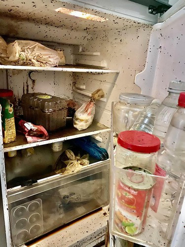 Phía dưới đoạn clip, netizen nhanh chóng để lại hàng loạt bình luận bàn tán rôm rả.