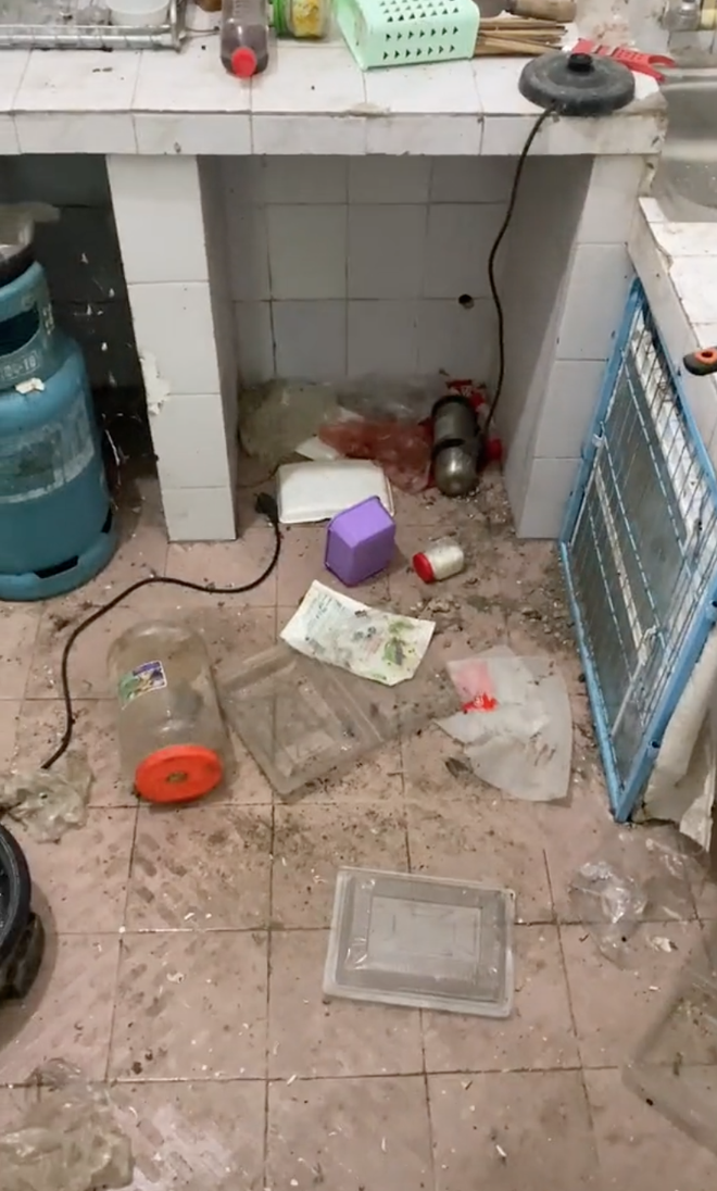 Bên cạnh đó, chủ đoạn clip trở lại phòng trọ bẩn sau 5 tháng, Phạm Huy cho biết: "Lúc mở cửa phòng ra mình chỉ muốn đóng lại rồi quay về tiếp thôi. Ngoài những gì có trong clip thì còn 10kg gạo bị mốc, dây máy bơm nước bị chuột cắn đứt, đệm cũng thành chỗ ngủ của chuột luôn. Hiện tại mình đã mất 1 ngày trời để lau dọn mà vẫn chưa xong".