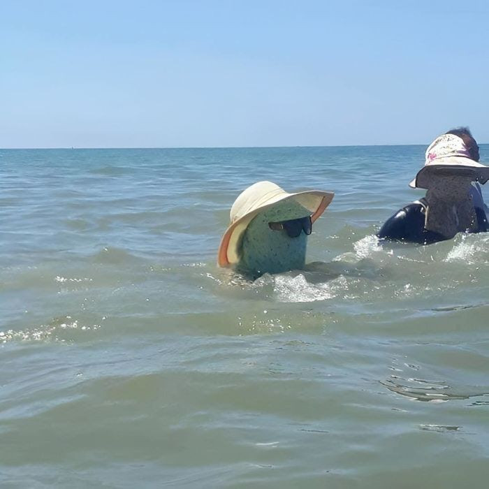 Mới đây, hình ảnh hội chị em diện đồ kín từ đầu đến chân khi đi tắm biển đã gây bão mạng xã hội, khiến dân tình "cười không nhặt được mồm".