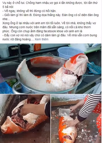 Theo tìm hiểu, Amanda cho hay cô nuôi đàn cá Koi 40 con từ 4 năm trước. Sau khi một nửa trong số chúng chết, cô vừa mua thêm 30 con khác, với con nhỏ giá 125 USD, con to giá 250 USD.