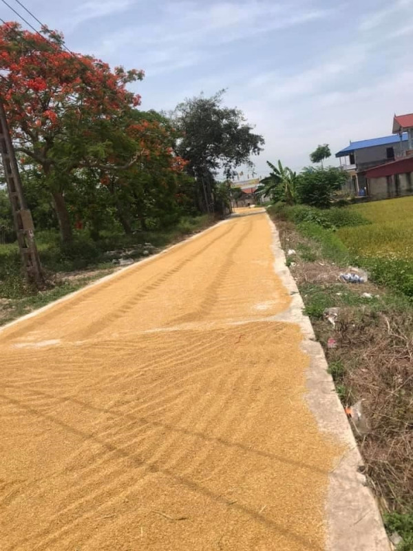 Chưa bàn tới chuyện xác minh địa điểm dùng đường làm sân phơi thóc, cư dân mạng tập trung tranh luận việc ý thức công cộng của một số người dân tự ý chiếm lòng đường.