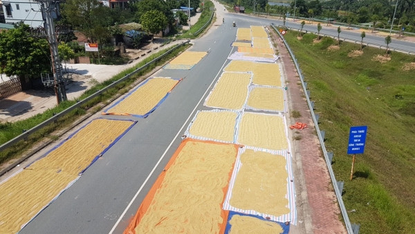 Tuy nhiên, trước đó xảy ra không ít vụ tai nạn thương tâm liên quan phơi thóc ngoài đường. Nó không chỉ gây nguy hiểm cho người đi đường mà đôi lúc còn nguy hiểm cho chính người chủ động với hành động này.