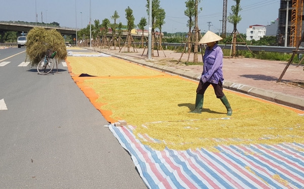 Bên cạnh đó, không ít lần xảy ra những vụ xô xát giữa người đi đường và chủ phơi thóc khi không có đường để đi. Mời quý độc giả xem video: Bẫy tử thần từ những đống thóc, rơm rạ trên đường - Nguồn: VTC16
