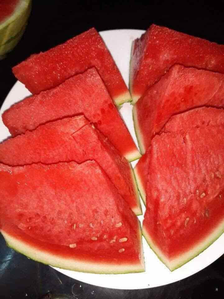 Quả dưa chín đỏ trông cực kỳ giòn và thơm ngon, hơn nữa lại rất ít hạt