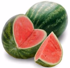 Điều đáng nói là quả dưa hấu không có quá nhiều hạt màu đen như quả bình thường.