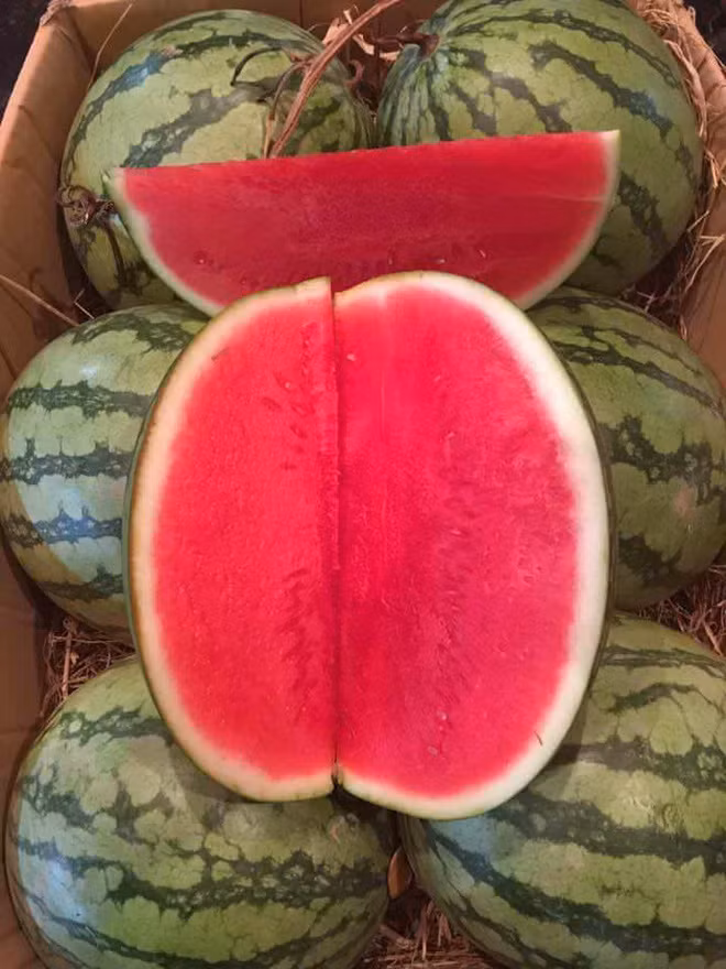 Bình luận về quả dưa hấu phiên bản nước ngoài này, cư dân mạng Việt Nam thích thú.