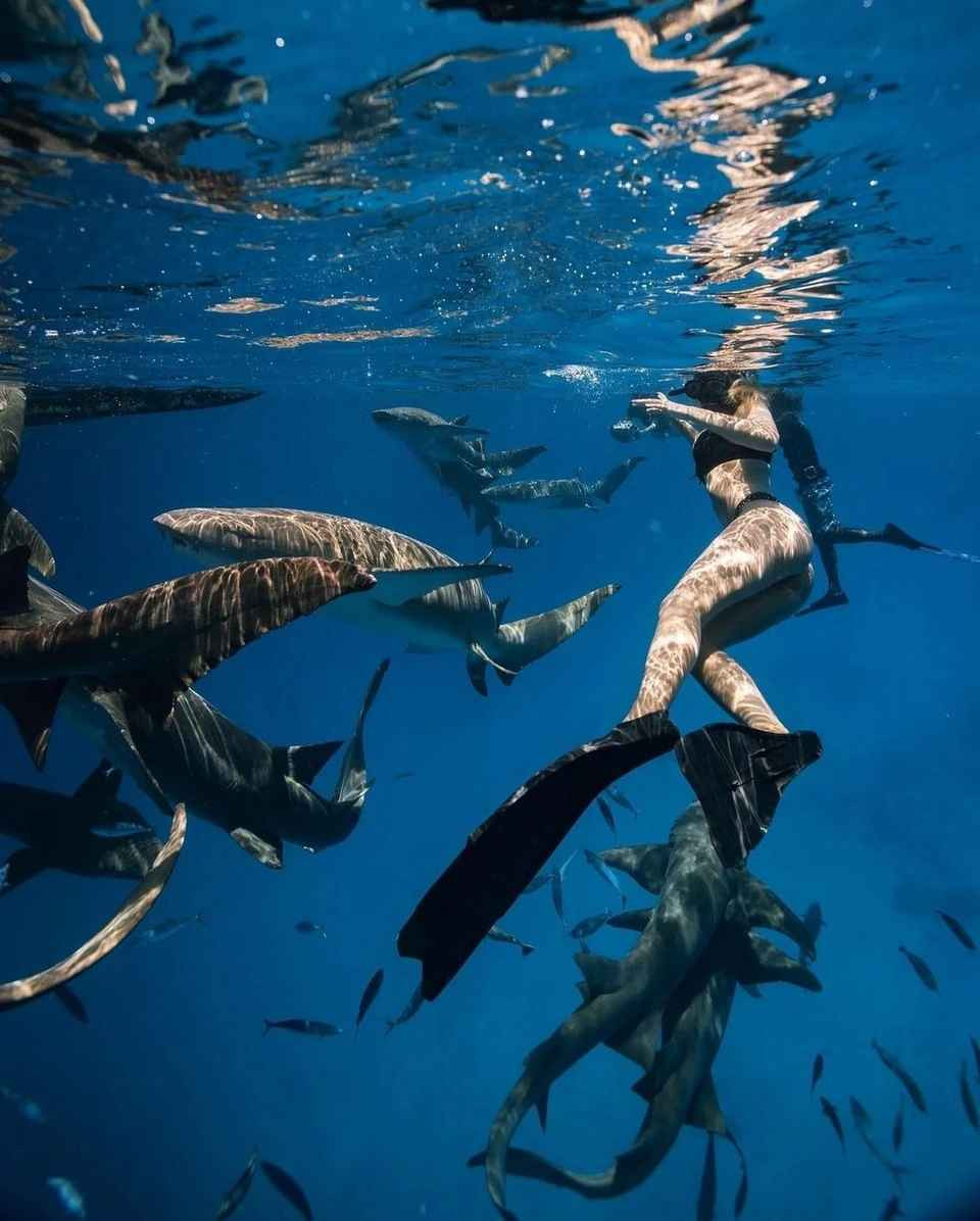 Kayla bơi giữa bầy cá mập trong những bức ảnh vừa đăng tải trên trang cá nhân.