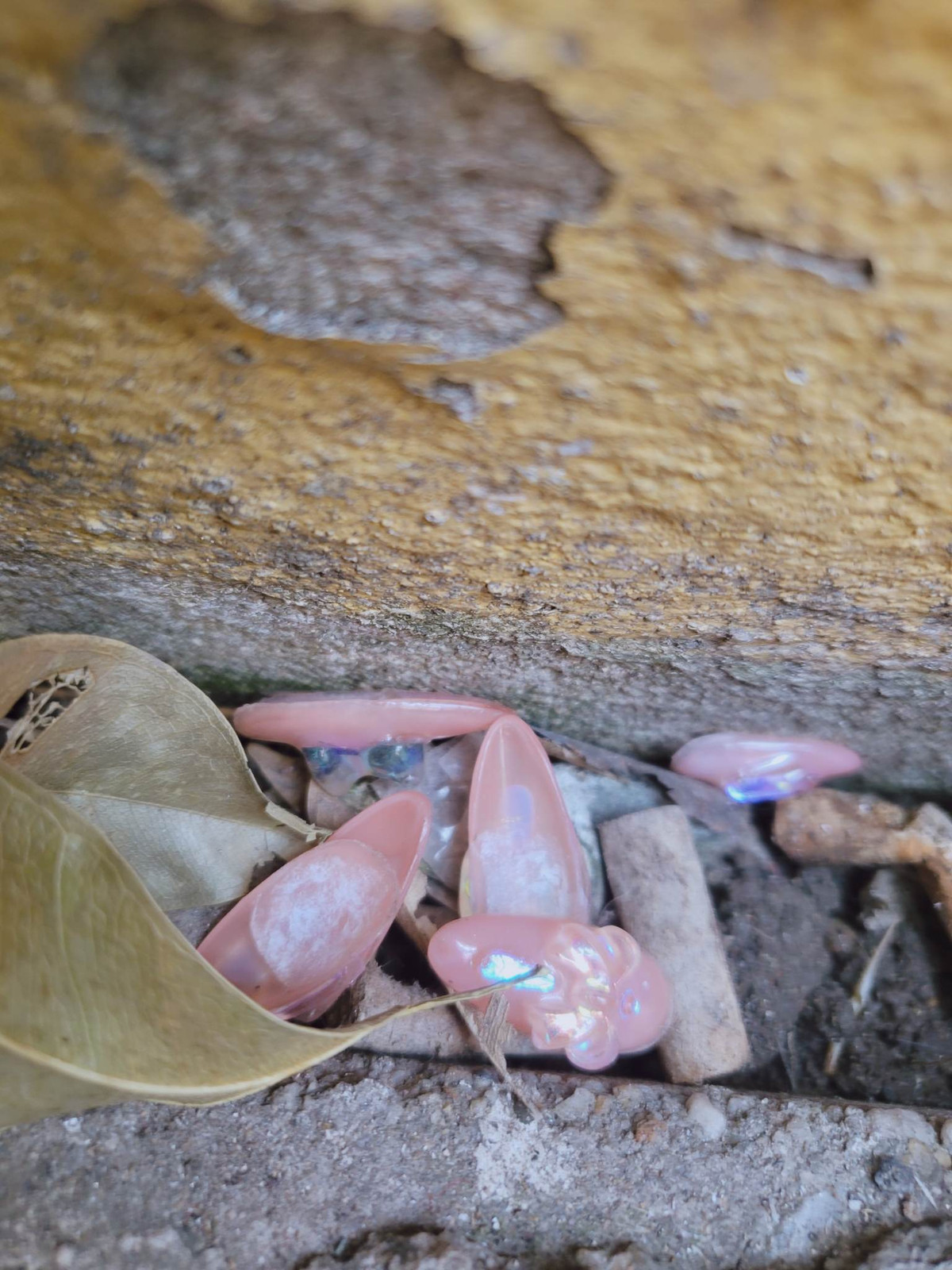 Những bộ móng giả bị ném lại nơi góc đường của một quán ăn.