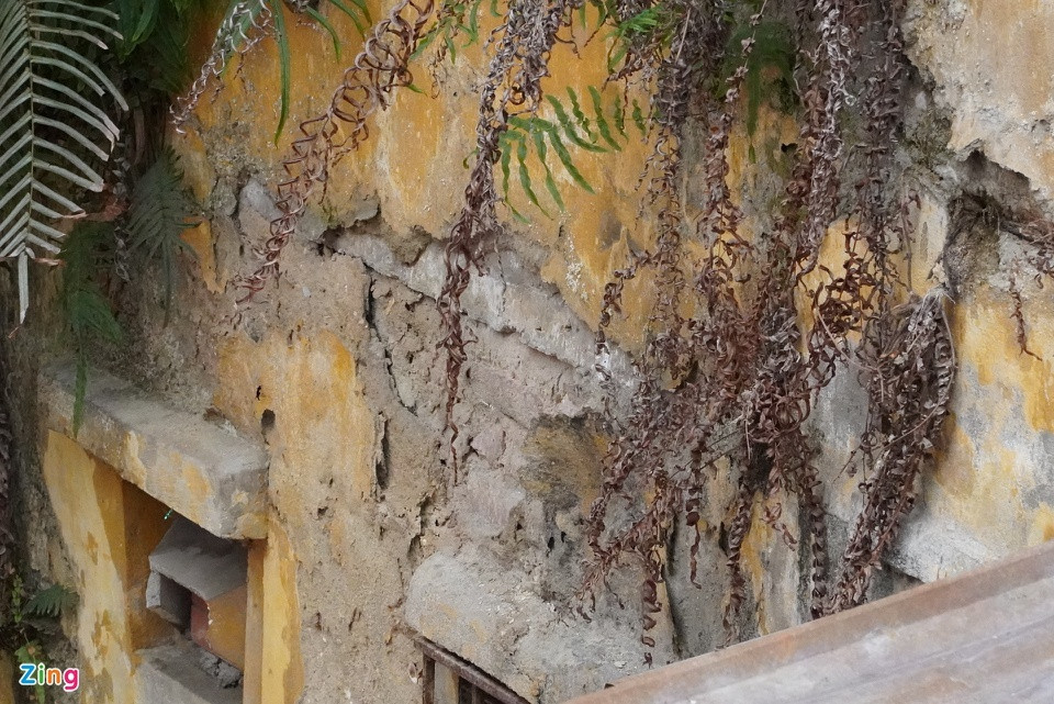 "Trời mưa, chúng tôi còn phải đội nón để đi vệ sinh vì dột", bà Trần Hằng (46 tuổi) thốt lên khi có khách hỏi thăm. Sống ở đây từ bé, người phụ nữ này bộc bạch rằng dù ở phố nhưng có lẽ họ không sướng bằng ở quê bây giờ.