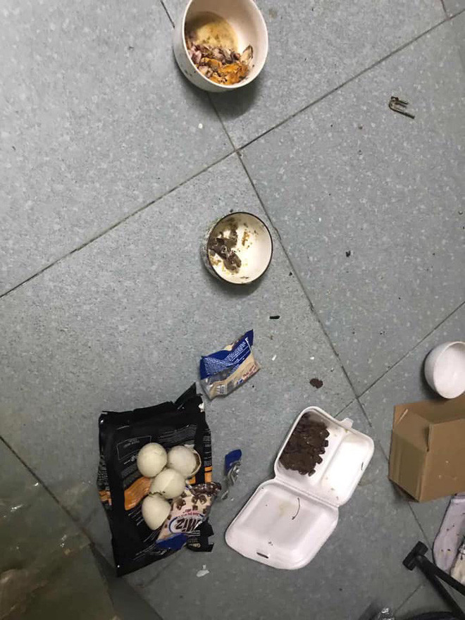 Chưa hết đến bên dưới sàn nhà còn có cả phân mèo, đồ ăn thừa chưa kịp dọn. Quanh khu vực bếp và bồn rửa là những chồng bát đũa để mốc meo...
