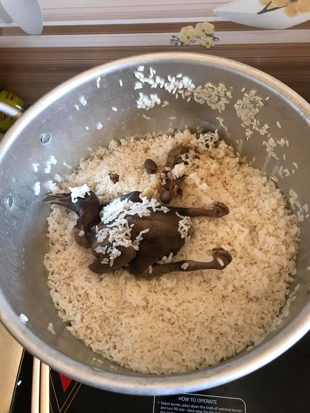 Món cháo gà nhìn tưởng là dễ nhưng lại là kẻ thù của những người "đảm đang" khi tỷ lệ "toang" vô cùng cao trong giai đoạn thực hành.