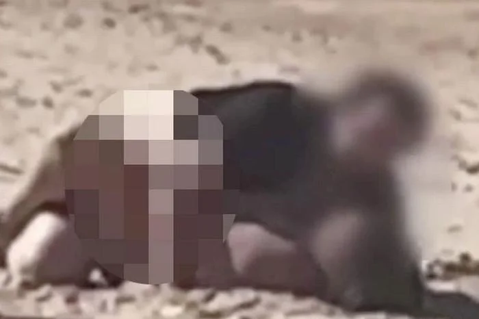 Sau khi nhận lời nhắc nhở, người đàn ông đã lên tiếng xin lỗi. Thậm chí anh ta còn phải đứng trước camera của người đang quay clip nói lời xin lỗi: "Vâng, tôi thật sự xin lỗi vì đã làm điều đó trước mặt bọn trẻ".