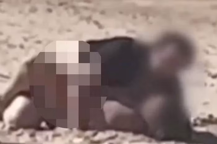 Sau khi nhận lời nhắc nhở, người đàn ông đã lên tiếng xin lỗi. Thậm chí anh ta còn phải đứng trước camera của người đang quay clip nói lời xin lỗi: "Vâng, tôi thật sự xin lỗi vì đã làm điều đó trước mặt bọn trẻ".