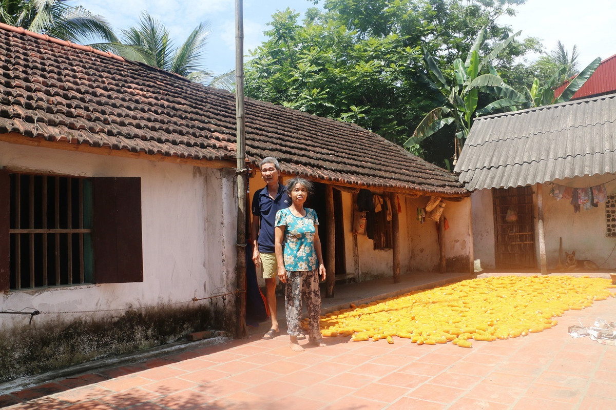 Thay gi tu nhung ngoi nha tien ty cua “ho can ngheo” Thanh Hoa?-Hinh-3