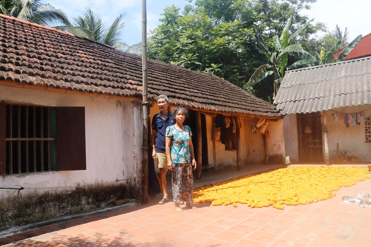 Thay gi tu nhung ngoi nha tien ty cua “ho can ngheo” Thanh Hoa?-Hinh-3