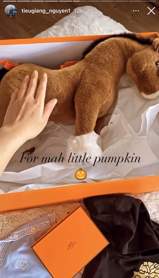 Không rõ nàng Tiểu Giang đã sắm gì nhưng nhìn hàng loạt vỏ hộp Hermes to bé đủ cả là đủ hiểu, nguyên đống tiền đó chứ chẳng đùa.