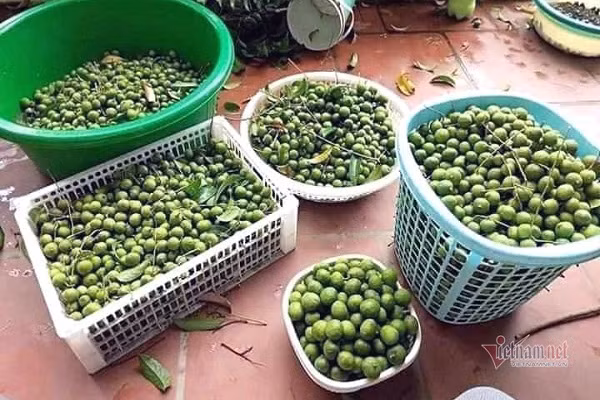 Dac san Ha Noi het mua, mua gom cap dong an dan