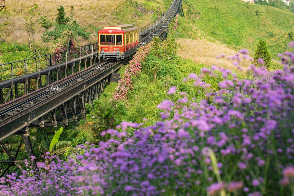 Thung lũng Mường Hoa nằm ở thị trấn Sapa, tỉnh Lào Cai, là một thung lũng tuyệt đẹp nổi tiếng với di sản văn hóa phong phú. Nơi đây sở hữu cảnh quan hữu tình, bao quanh là những khu rừng tươi tốt, ruộng bậc thang bạt ngàn và những ngôi làng nhỏ của người dân địa phương.