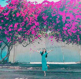 Thêm một bức ảnh check-in hoa giấy siêu đẹp của các bạn trẻ tại Vũng Tàu.