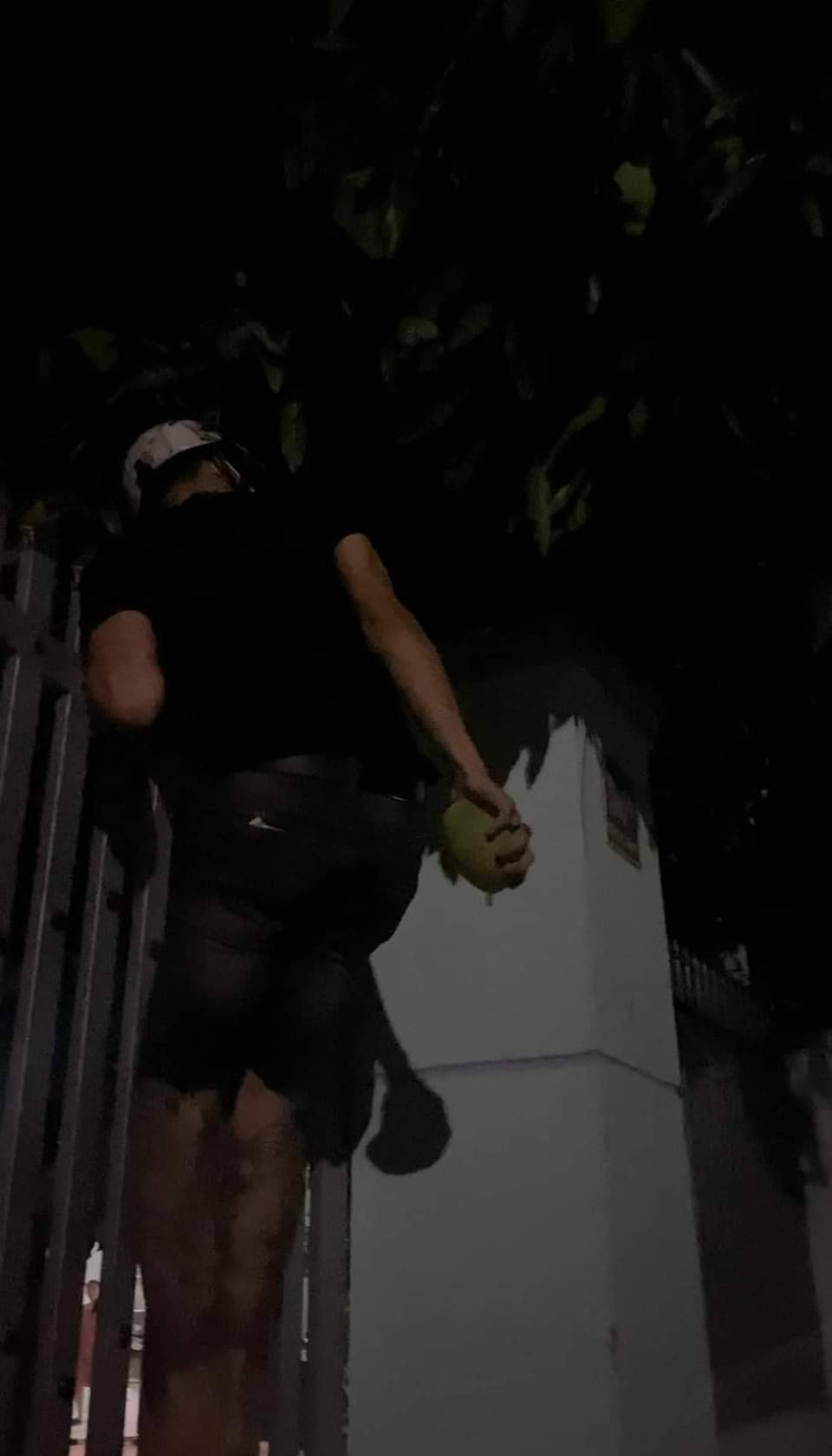 Hành vi hái trộm xoài của chàng trai bị người trong nhà phát hiện.