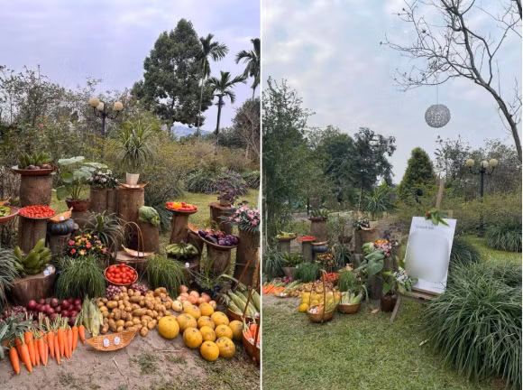 Một màn decor khác bằng rau củ quả cũng ấn tượng không kém. (Nguồn: @nguyenthuu.ydungg)