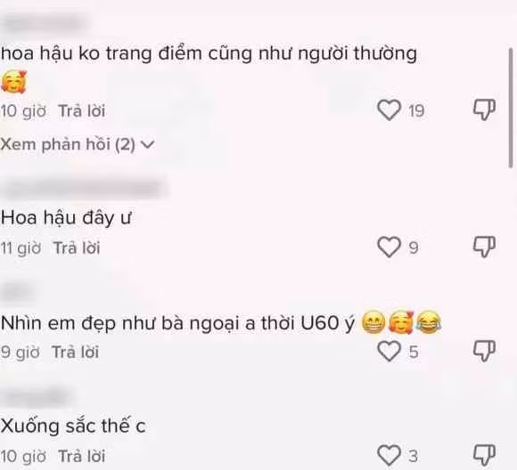 Nhiều người cho rằng, với gương mặt không chút phấn son, Mai Phương Thúy trông bình thường, không có gì xuất sắc xứng danh hoa hậu.