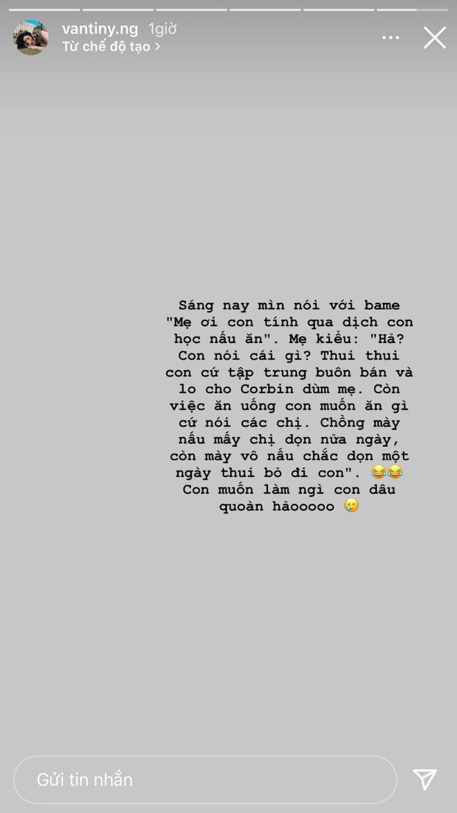 Mối quan hệ của của con dâu ông trùm điện tử Sài Gòn với gia đình nhà chồng cũng khiến netizen tò mò. Câu trả lời đã được Vân Tiny chia sẻ thêm lần nữa trong một story mới đây.