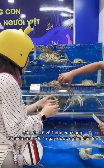 Mới đây, thay vì khoe thân như mọi lần, hot girl Lê Bống đã có hành động ý nghĩa với mục đích thêm yêu thiên nhiên và bảo vệ môi trường.