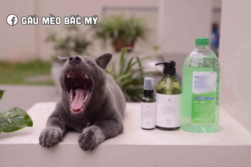 Ngay cả khi đóng quảng cáo, Nguyễn Văn Dúi cũng thể hiện biểu cảm "ngáp rách miệng".